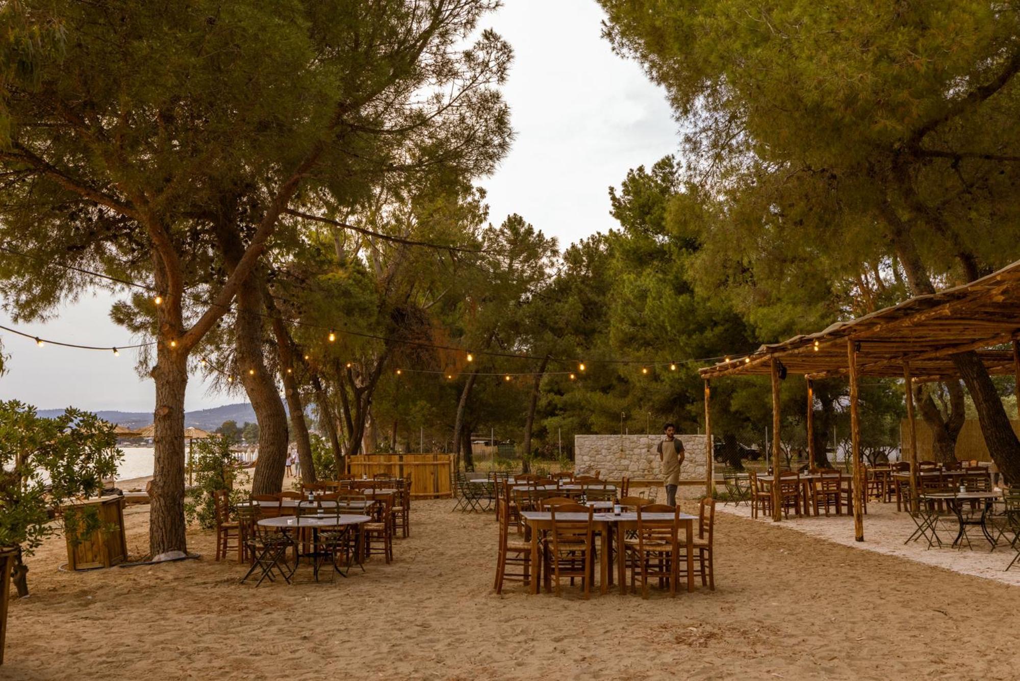 Ergon Beach House Nikiti Dış mekan fotoğraf