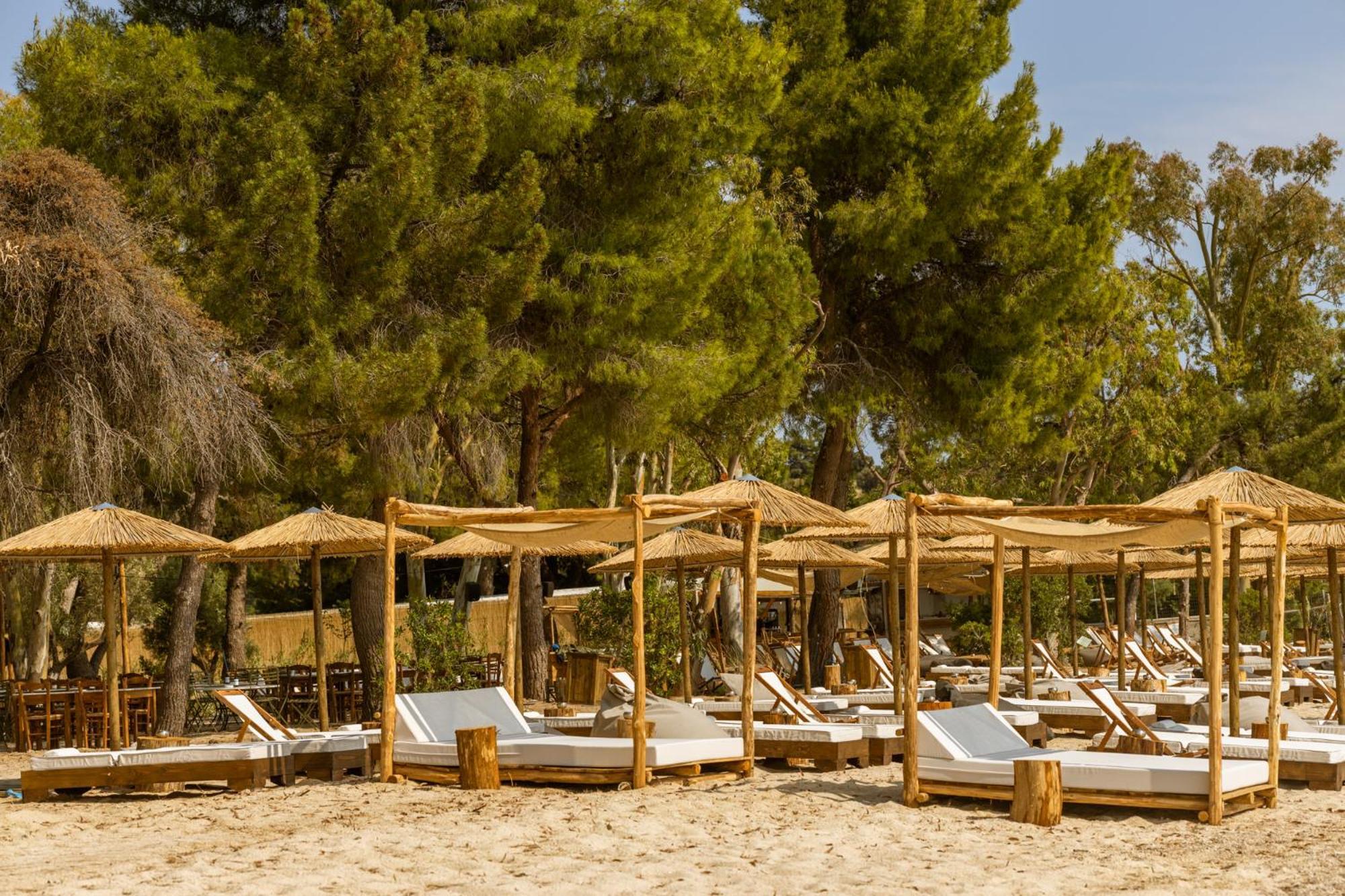 Ergon Beach House Nikiti Dış mekan fotoğraf